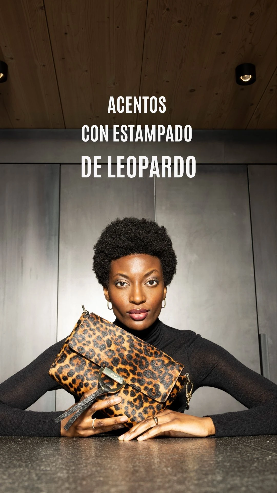 Leo-Handy-ES